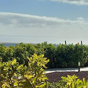 The Black Horse Canarias - Adults Only Landhaus